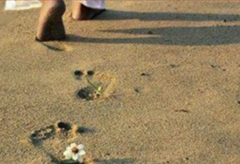 footprint